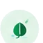 Carbon Credits